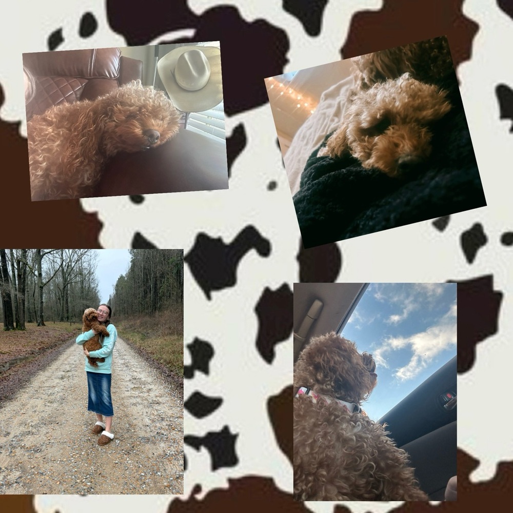 𝙹𝚊𝚗𝚗𝚊𝚑 𝙿𝚛𝚊𝚝𝚑𝚎𝚛 🤍